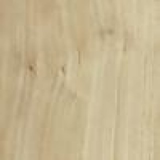 дуб эврика13